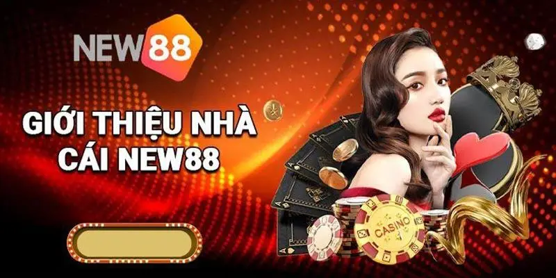 Giới thiệu chung về New88